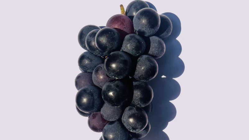 Racimo de uvas negras sobre fondo claro